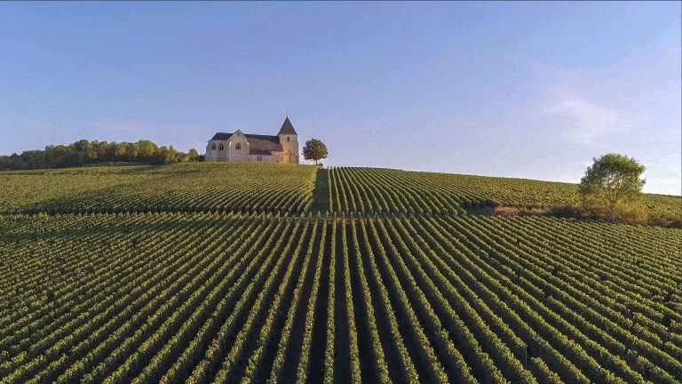 Vignoble de Champagne