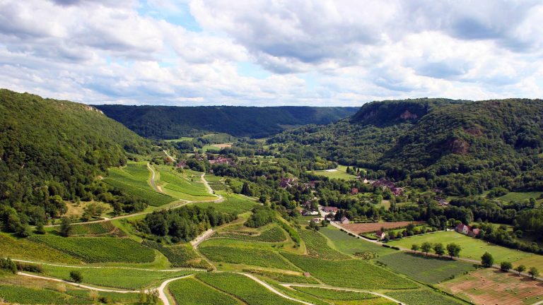 Vignoble du Jura
