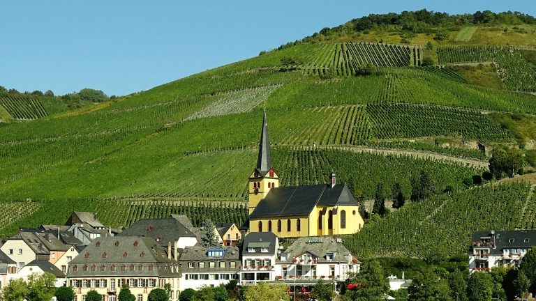 Vignoble de Lorraine