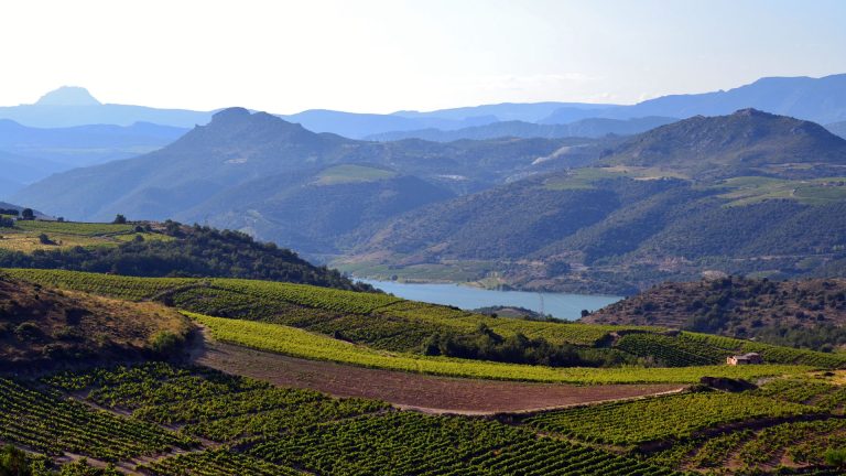Vignoble du Roussillon