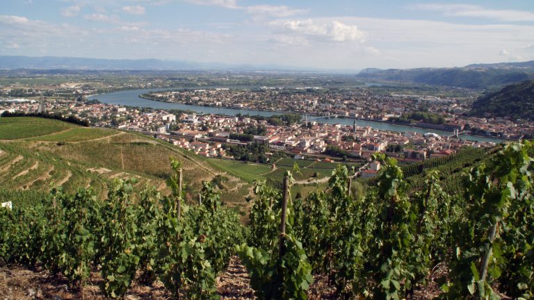 Vignoble de la Vallée du Rhône